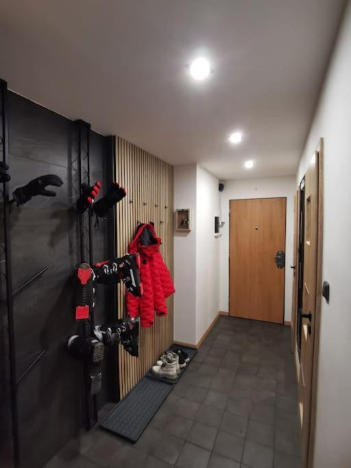 Apartman Bila Voda Červená Voda Bagian luar foto
